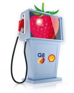 Fai il pieno con Esselunga da Q8 e Shell - 2014