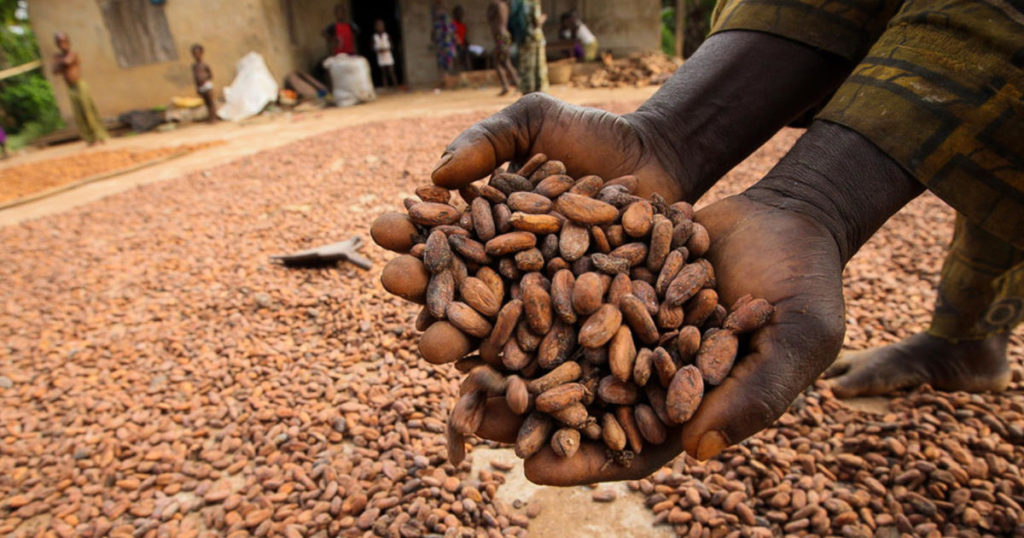 cacao equosolidale esselunga